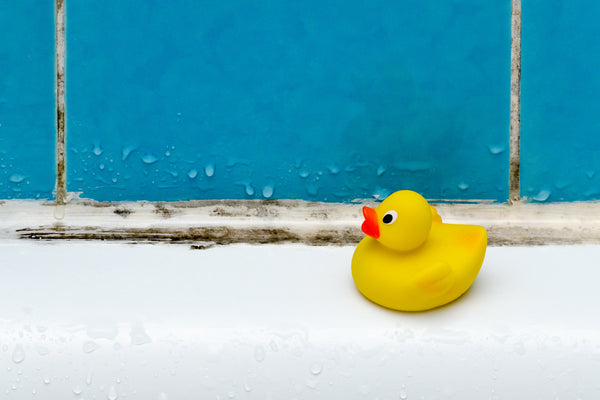 How to clean mould from water bottles