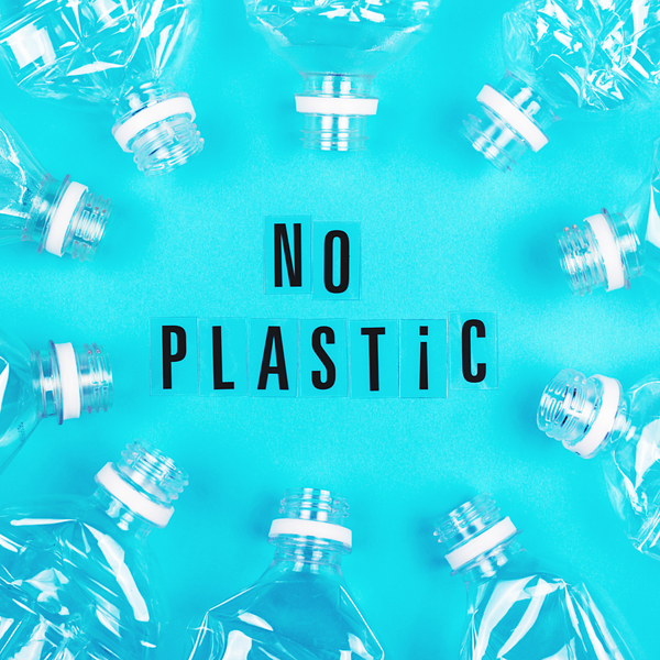 The Low Down On All Things Environmentally Friendly