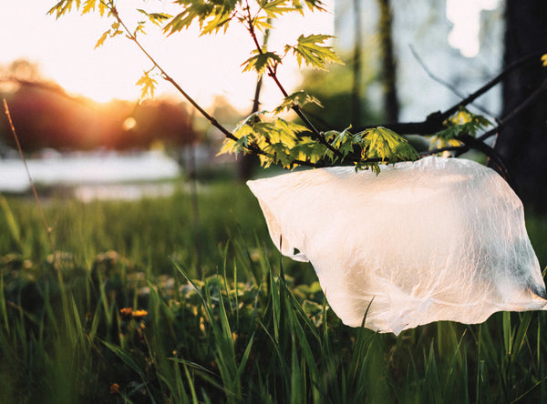 Tips on reducing plastic for 2019