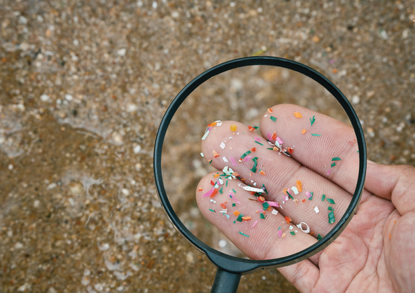 Understanding the Invisible Threat: The Dangers of Microplastics in Our Oceans