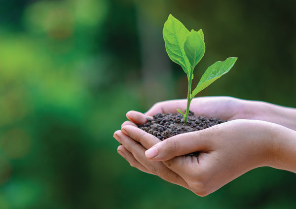 5 Ways you can help the planet this World Environment Day