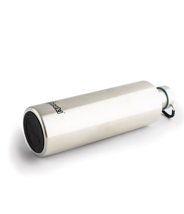 1 Litre Insulated Classic Bottle - Silver
