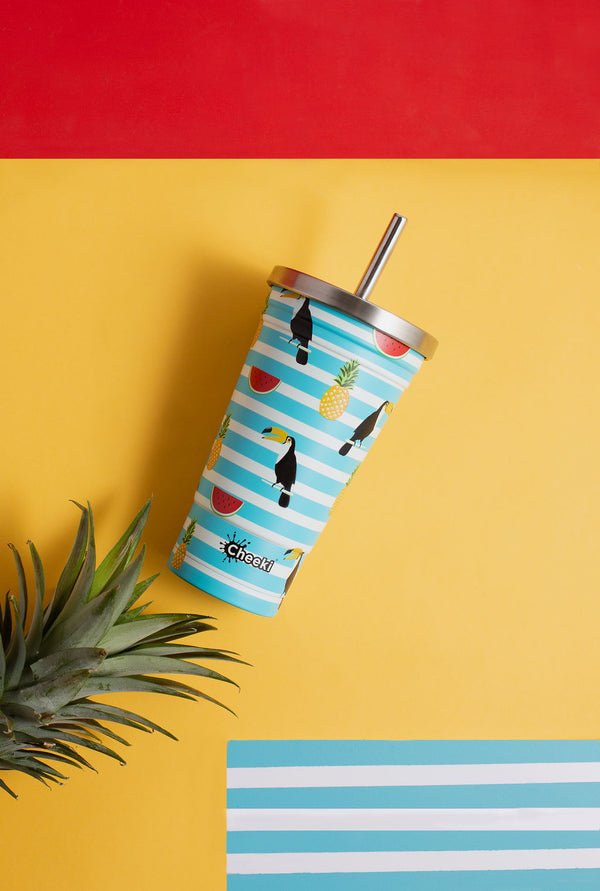 500ml Stainless Steel Insulated Tumbler - Toucan
